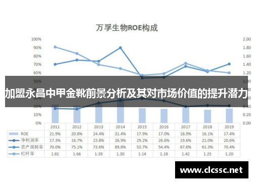 加盟永昌中甲金靴前景分析及其对市场价值的提升潜力