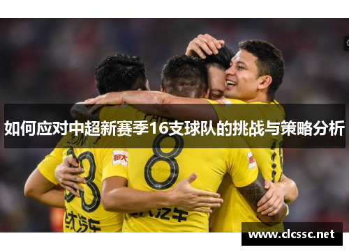 如何应对中超新赛季16支球队的挑战与策略分析 如何应对中超新赛季16支球队的挑战与策略分析